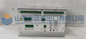 DECS-200-2C Basler - Runsheng Automation